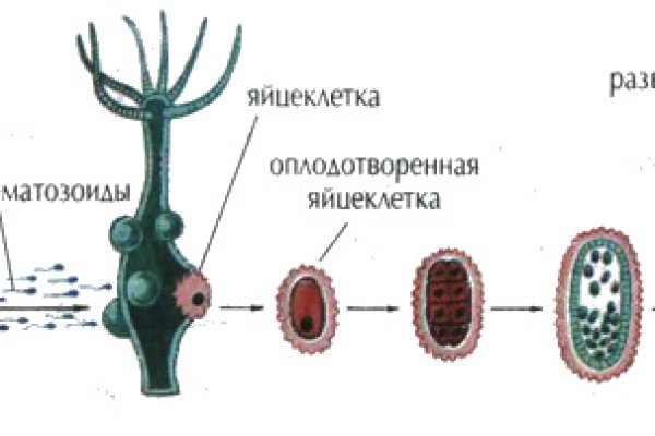 Спрут сайт тор