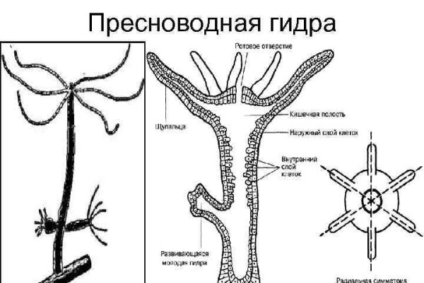 Ссылка на блекспрут blacksprut adress com