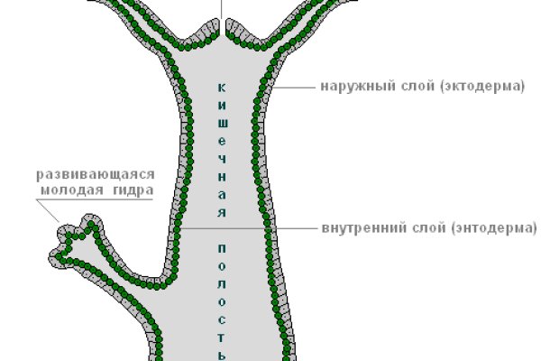 Актуальные ссылки блэкспрут